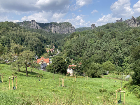 Blick auf Kurort Rathen