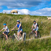 Radeln am Eider-Deich