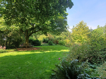 Mori-Garten Odisheim