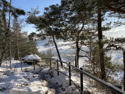 Winterliche Landschaft auf dem Aufstieg zum Papststein, mit verschneitem Pfad und Ausblick auf Papstdorf.Winter landscape on the ascent to the Papststein, with snow-covered path and view of Papstdorf.Zimní krajina při výstupu na Papststein se zasněženou cestou a výhledem na Papstdorf.Zimowy krajobraz podczas wspinaczki na Papststein, z ośnieżoną ścieżką i widokiem na Papstdorf.Winterlandschap op de klim naar de Papststein, met besneeuwd pad en uitzicht op Papstdorf.Paesaggio invernale sulla salita al Papststein, con sentiero innevato e vista su Papstdorf.