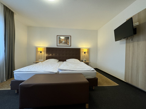 Hotel-Restaurant Zum Holländer - Ansicht Doppelzimmer Zweibettzimmer mit heller Einrichtung, Wandbild, und Flachbild-TV. Neutrale Farbgebung und dezente Beleuchtung.