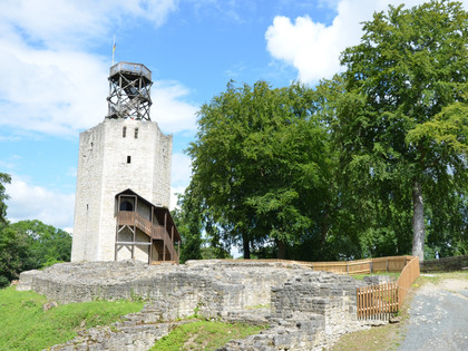 Aufgang zum Aussichtsturm Burgruine Lichtenberg