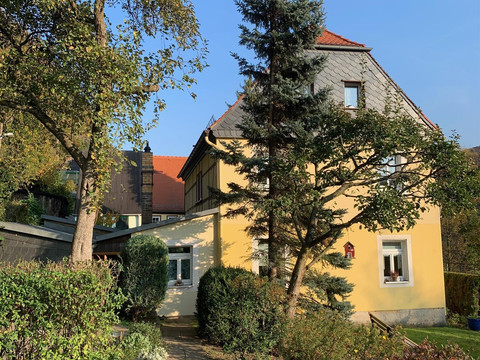 alter Baumbestand im Garten