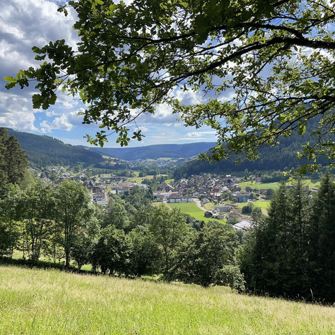 Blick_Klosterreichenbach