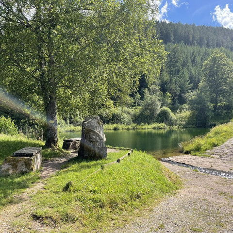 See_Reichenbachtal_2