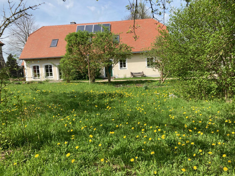 Südansicht im Mai