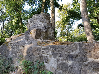 Asseburgruine.jpg