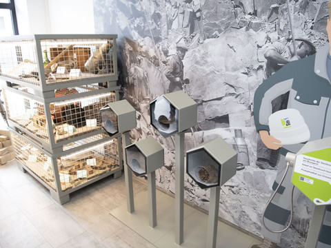 Bergisches Grauwacke-Museum Ausstellungsraum mit Vogelkäfigen, Infotäfelchen und Wandbildern, die Bergbauarbeiten zeigen.