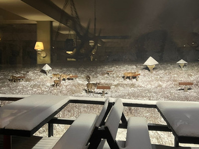 Molkenhaus in Bad Harzburg - Wildfütterung