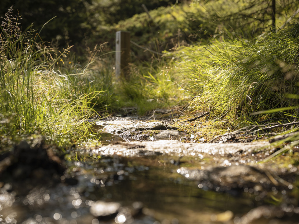 Kneipp-Anlage Silbersand Riederalp Kneipp-Anlage Silbersand Riederalp