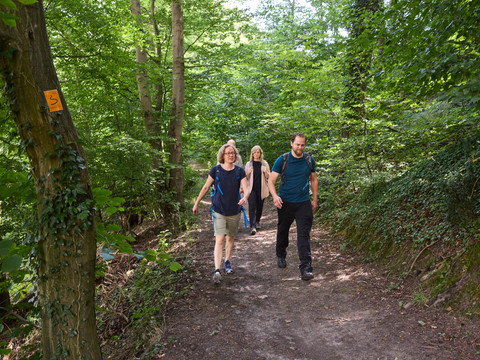 Etappe 5 in Burscheid Drei Personen wandern auf einem Waldweg, umgeben von üppigem Grün und Bäumen an einem sonnigen Tag.