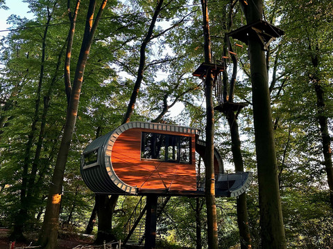 Baumhaus im Hochseilgarten K1 Ein modernes Baumhaus mit geschwungener Fassade, umgeben von hohen Bäumen in einem Waldgebiet.