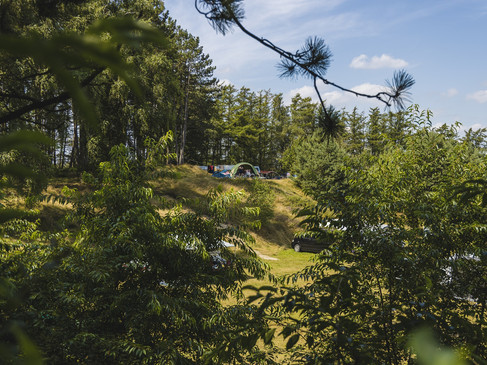 20210812-DickRuumpolFotografie-Wilsumer Berge-HR-068.jpg