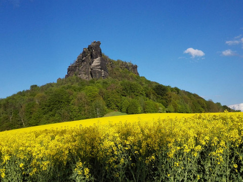 Frühling