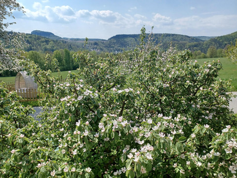 Blick aus der Küche