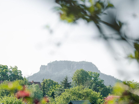 Blick zum Lilienstein