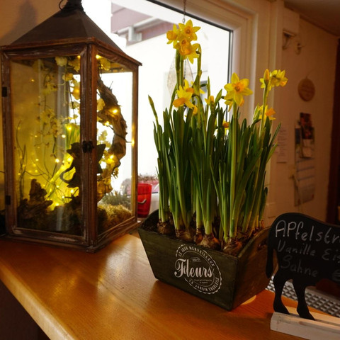 Speiseraum - Pension Garni Talblick