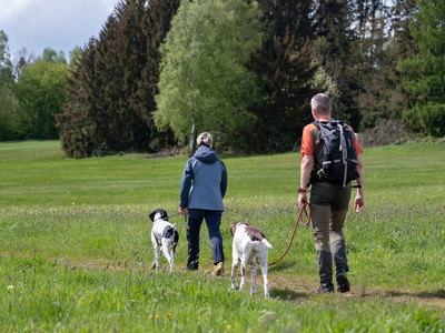 Hotel der Wolfshof in Wolfshagen - Wandern mit Hund