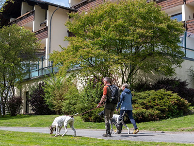 Hotel der Wolfshof in Wolfshagen - Wandern mit Hund