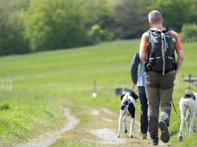 Hotel der Wolfshof in Wolfshagen - Wandern mit Hund