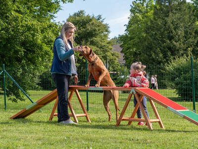 Hotel der Wolfshof in Wolfshagen - Spielen mit Hund