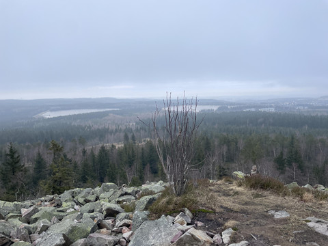 Blick vom Kahleberg