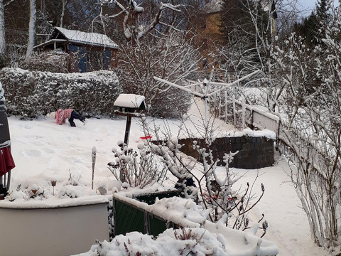 Winterimpressionen