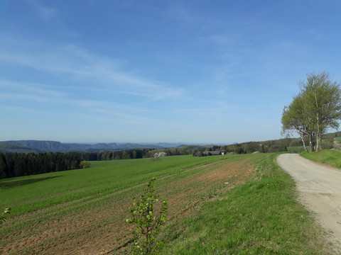 Blick von der Hohen Straße