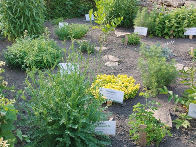 Schäfers Hof in Osterwieck - Kräutergarten