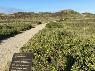 Kunststele Anita Rée