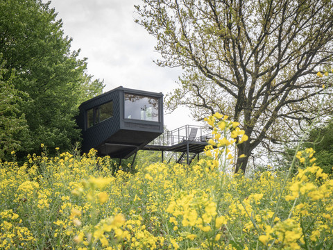 Baumhaus im Hochseilgarten K1 Ein modernes, schwarzes Baumhaus mitten in blühenden Rapsfeldern, umgeben von dichten Bäumen.
