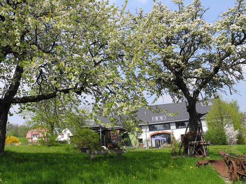 Kirschblüte am Rietzschelhof