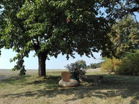 Idylle unterm Kirschbaum