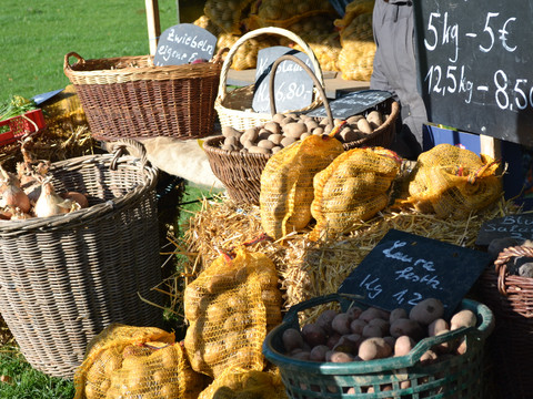 Beim Kartoffelfest werden auch Kartoffeln zum Kauf angeboten Verschiedene Körbe und Säcke mit Kartoffeln und Zwiebeln auf einem landwirtschaftlichen Marktstand.