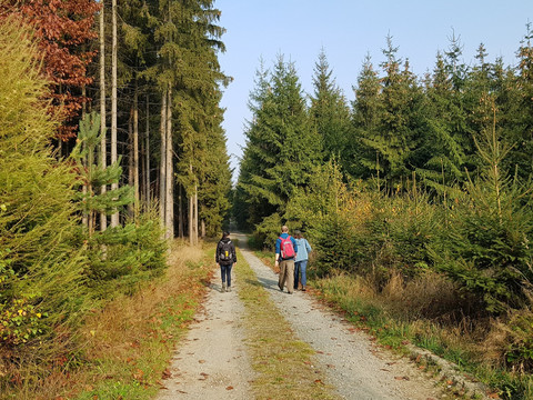 Auf dem Drachenrundweg