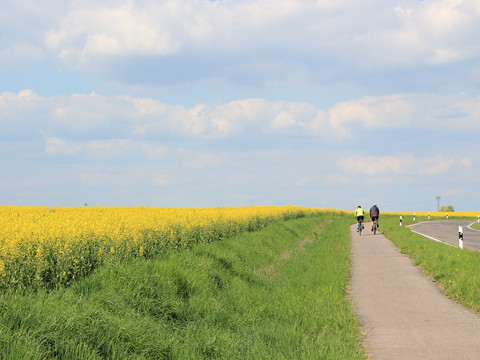 Radfahrer zwischen Körlitz und Kühnitzsch