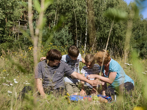 Picknick in der Dahlener Heide