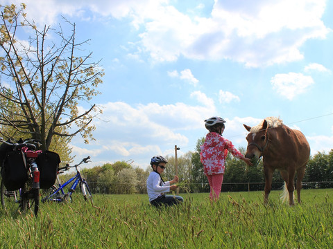Leipzig-Elbe-Radroute