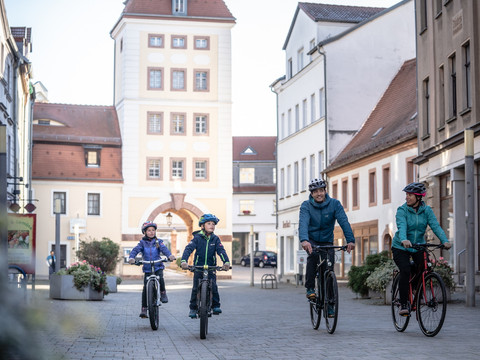 Neuseenland-Radroute bei Borna