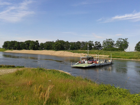 Fähre auf der Elbe