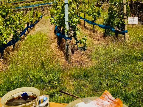 Gemütliches Plätzchen unterhalb der Luisenburg