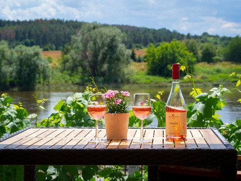 Elbblick vom Weingut Lehmann