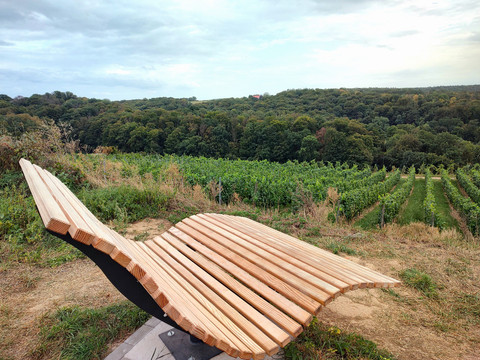 Wellenliege an der "Schönsten Weinsicht 2020" Diesbar-Seußlitz