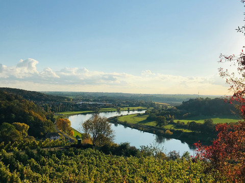 Weinsicht Diesbar-Seußlitz