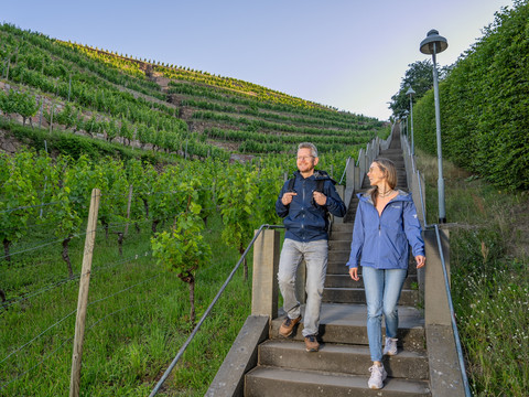 Spitzhaustreppen Radebeul