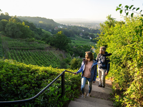 Wandern am Spitzhaus Radebeul