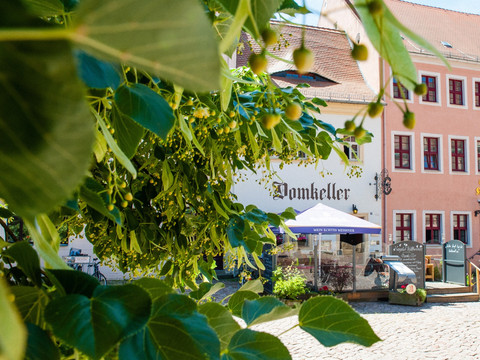 Eingang mit Domterrasse