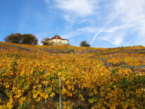 Weingut Martin Schwarz