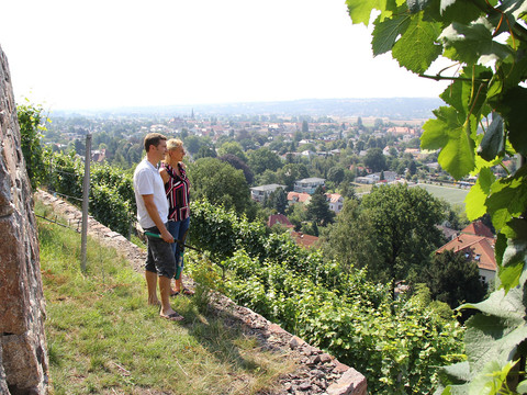Zwei Personen im Weingut