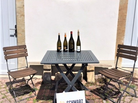 Hof im Weingut Martin Schwarz